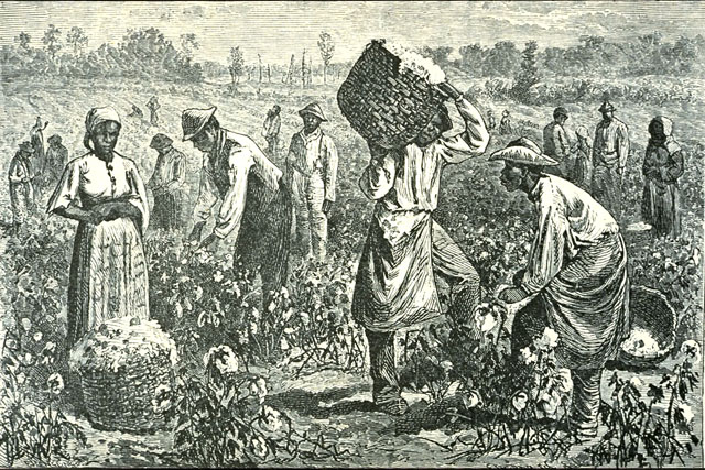 Esclaves dans les champs